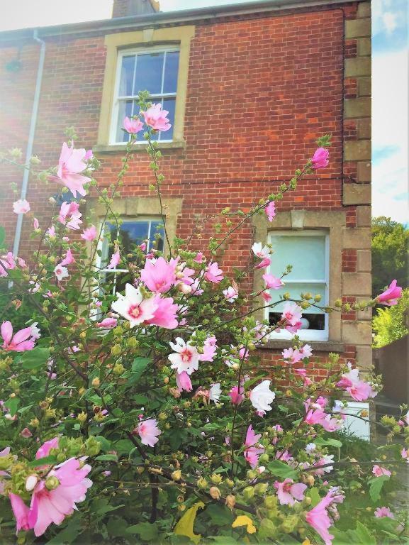 ブリッドポート The Victorian House Bed & Breakfast エクステリア 写真